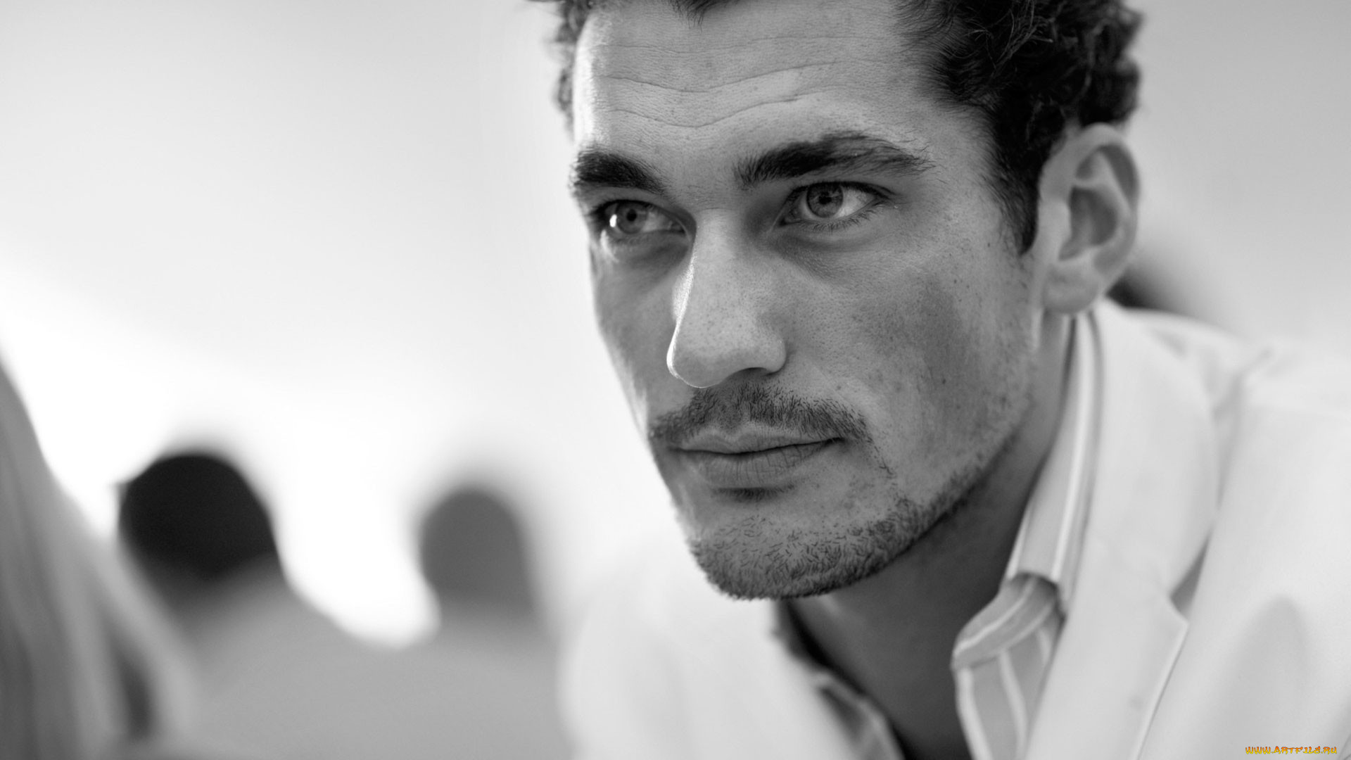 david, gandy, , 